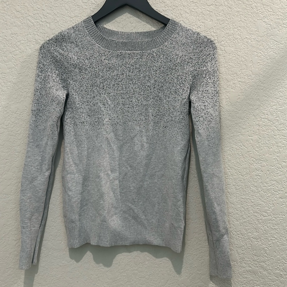 Express Metallic Sweater